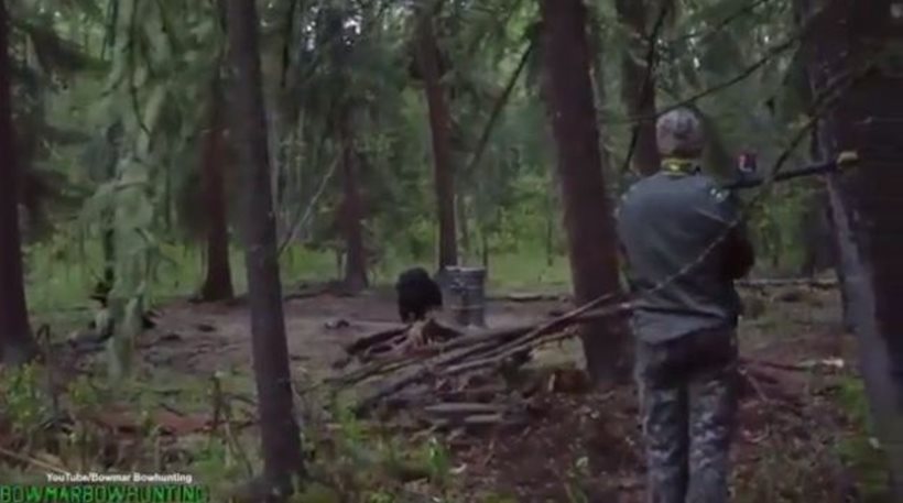 Κυνηγός σκοτώνει αρκούδα… με ακόντιο (vid)